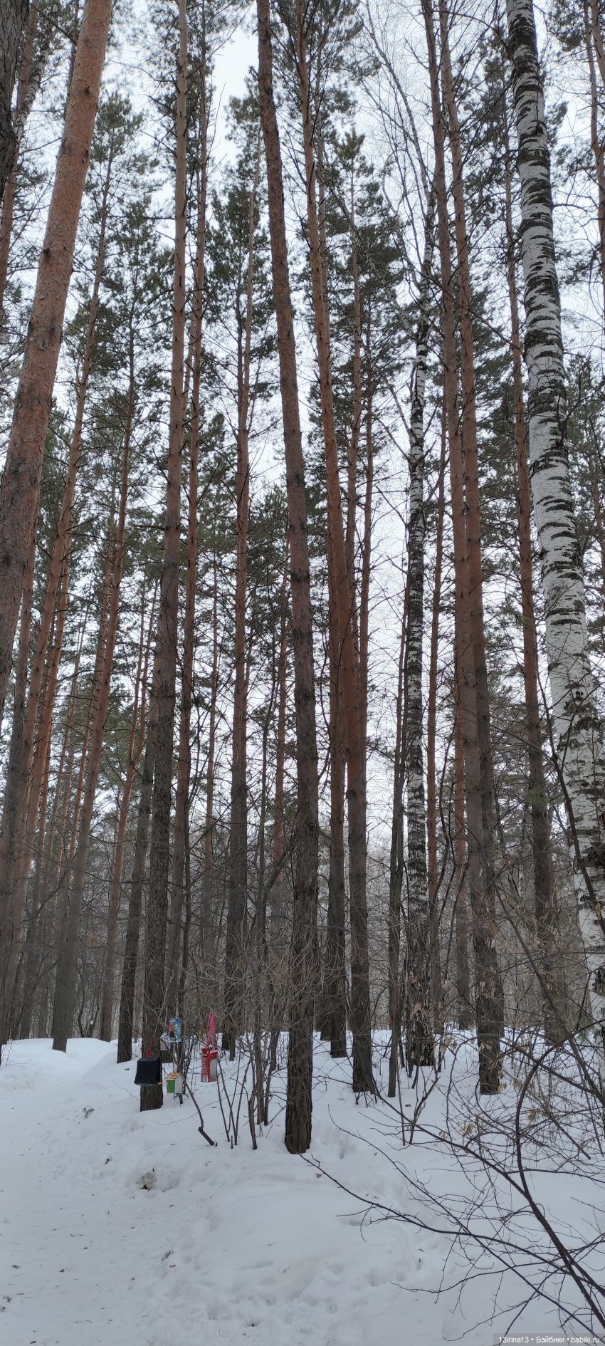 Снег, Капустка и кормушки (фото 4)