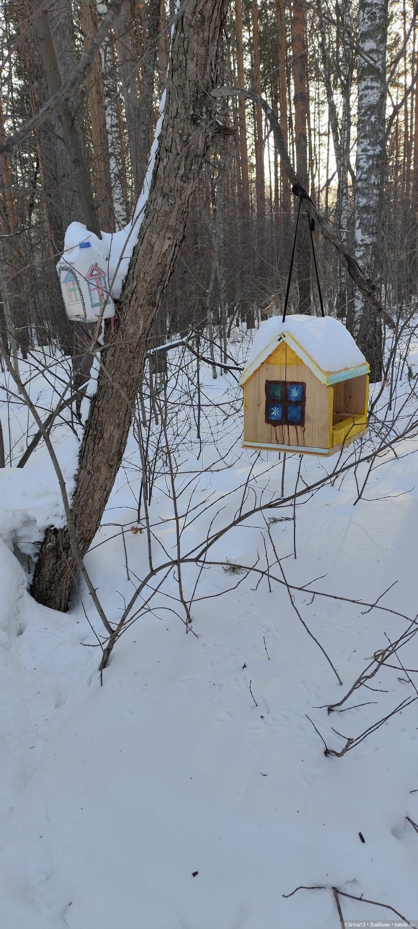 Снег, Капустка и кормушки