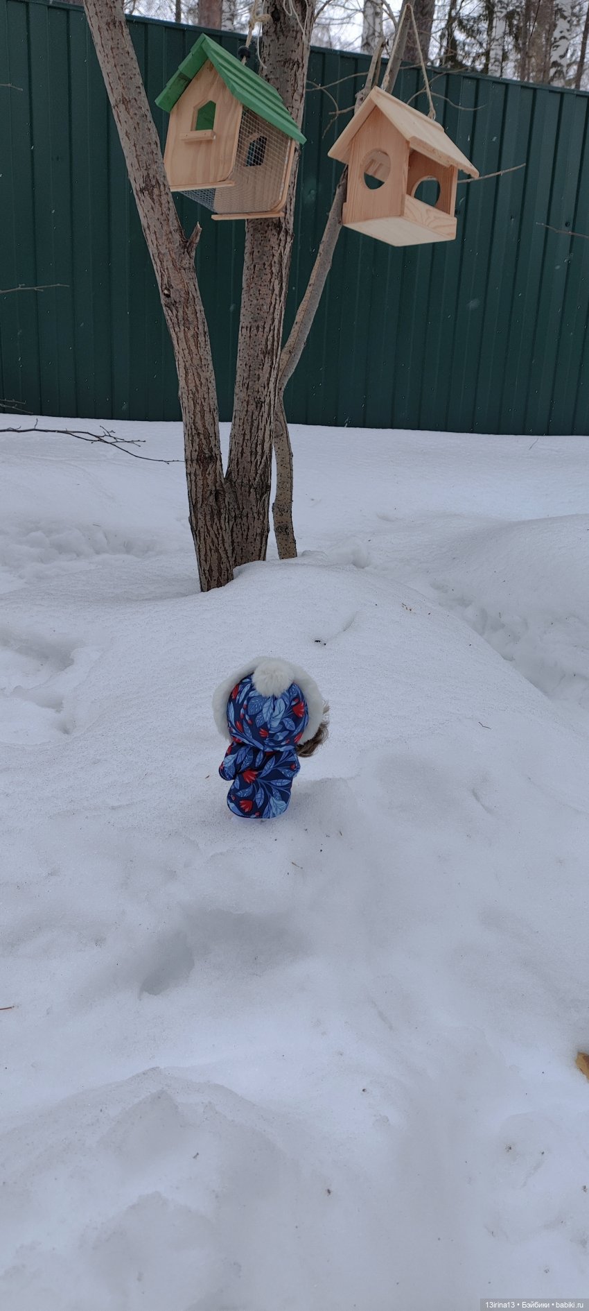 Снег, Капустка и кормушки