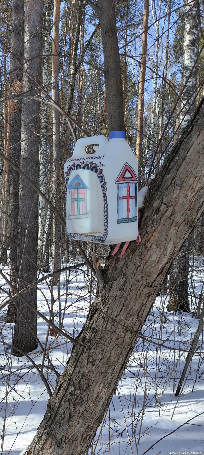 Снег, Капустка и кормушки