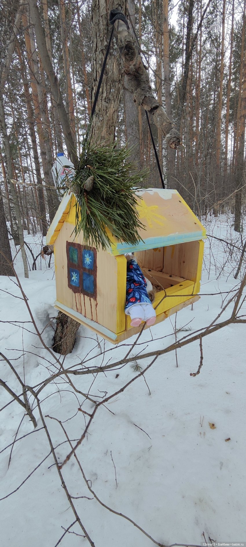 Снег, Капустка и кормушки