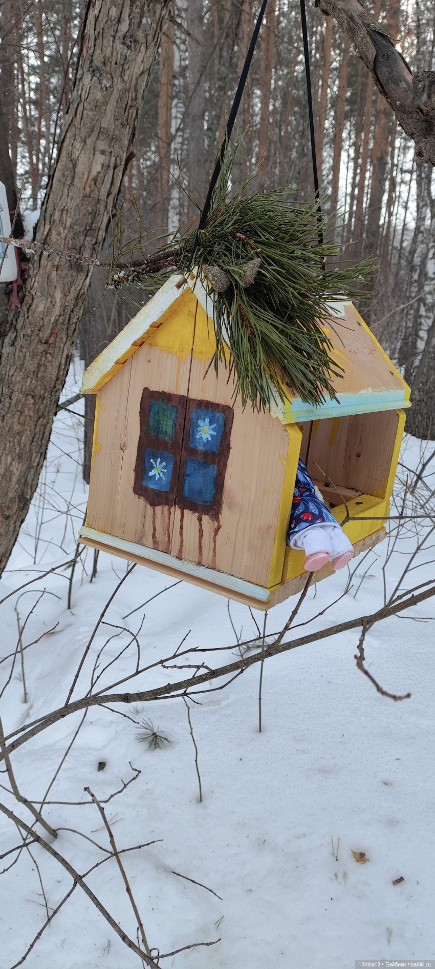 Снег, Капустка и кормушки