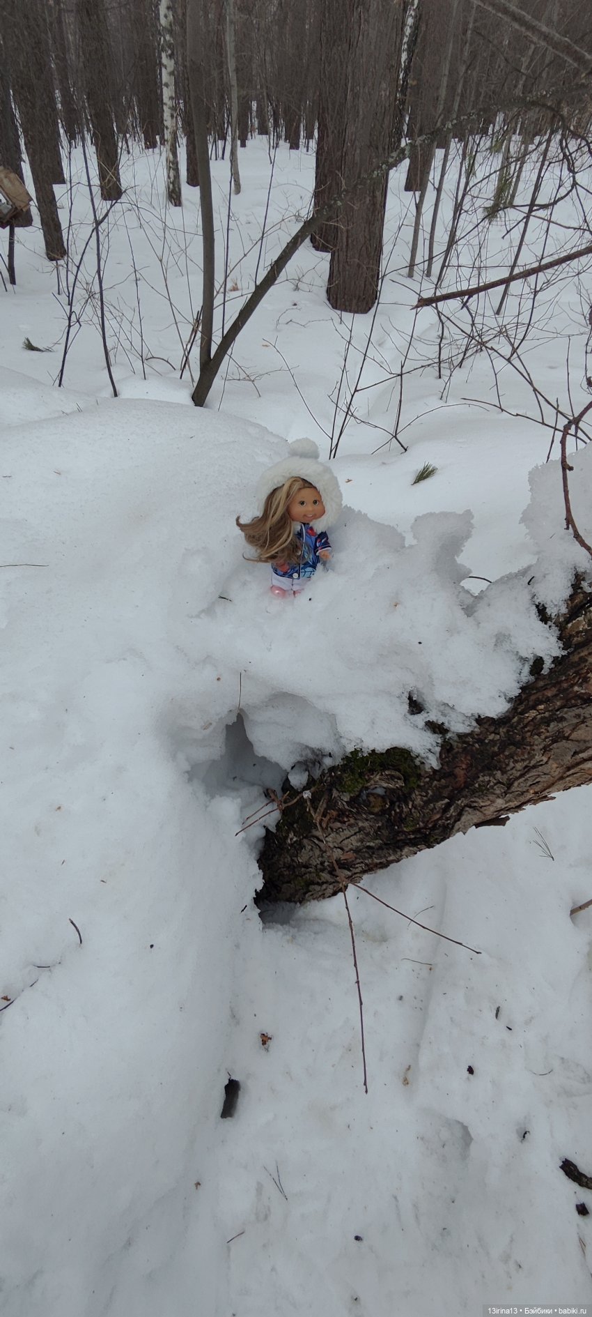 Снег, Капустка и кормушки (фото 9)