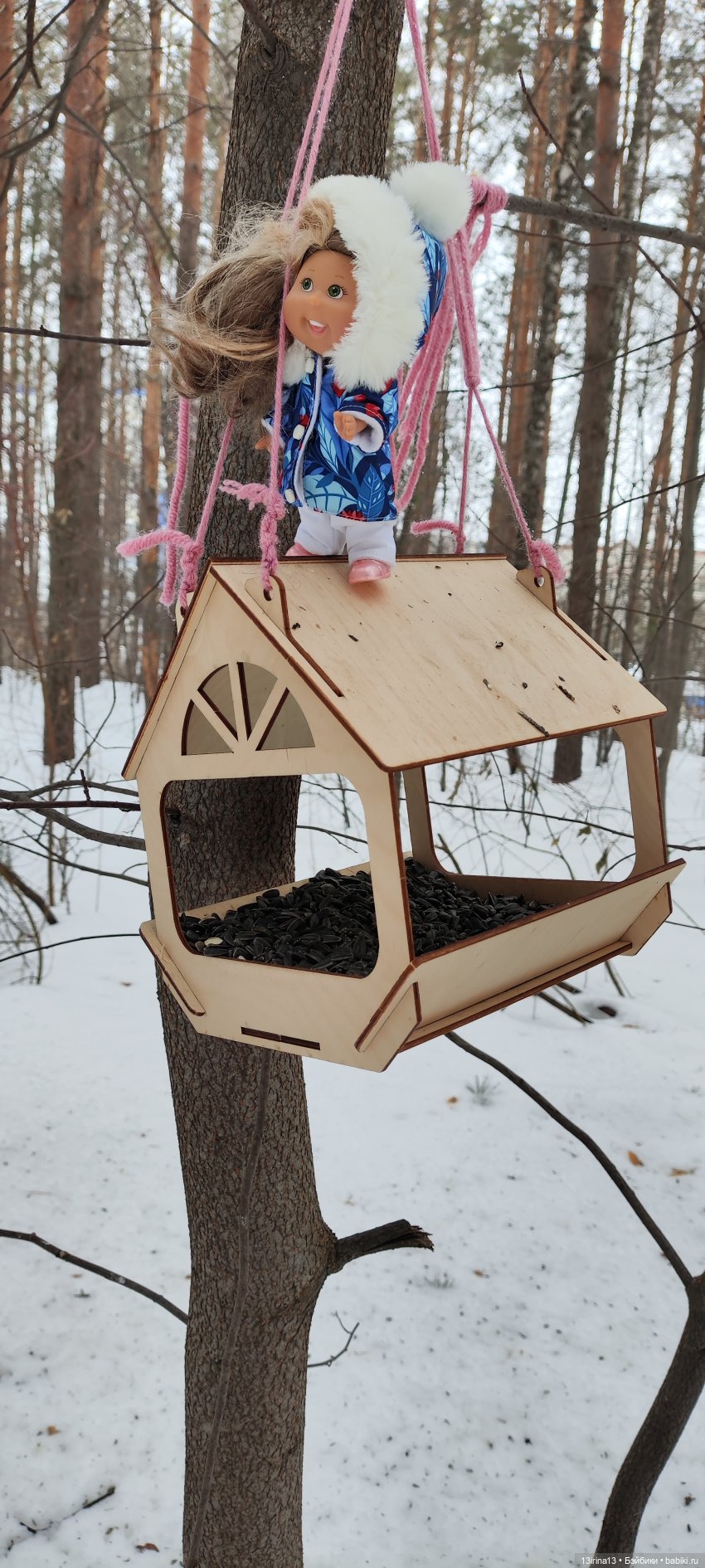 Снег, Капустка и кормушки