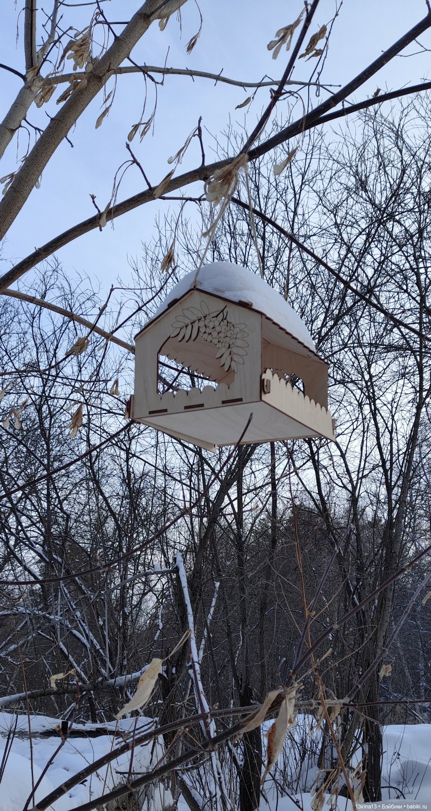 Снег, Капустка и кормушки