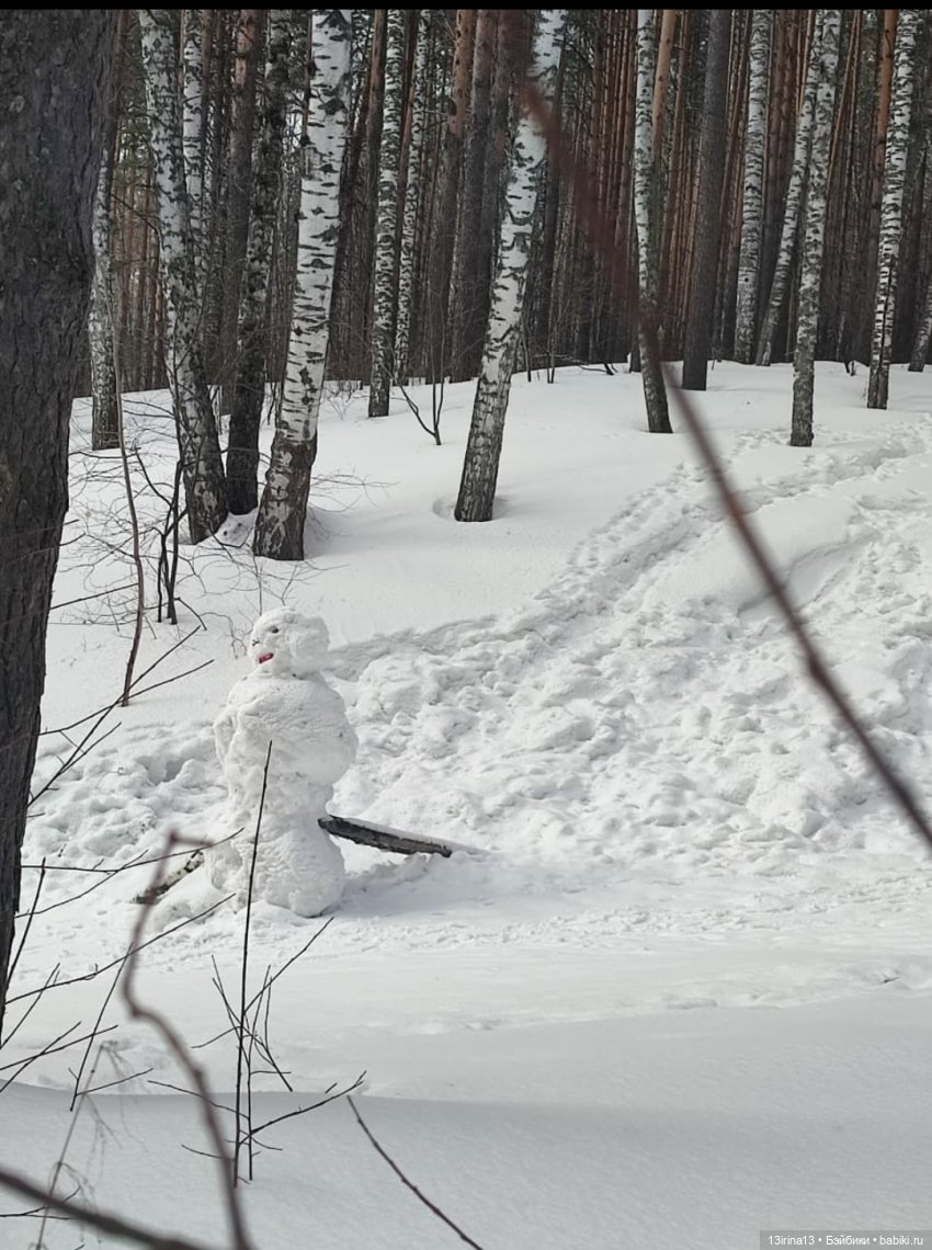Снег, Капустка и кормушки