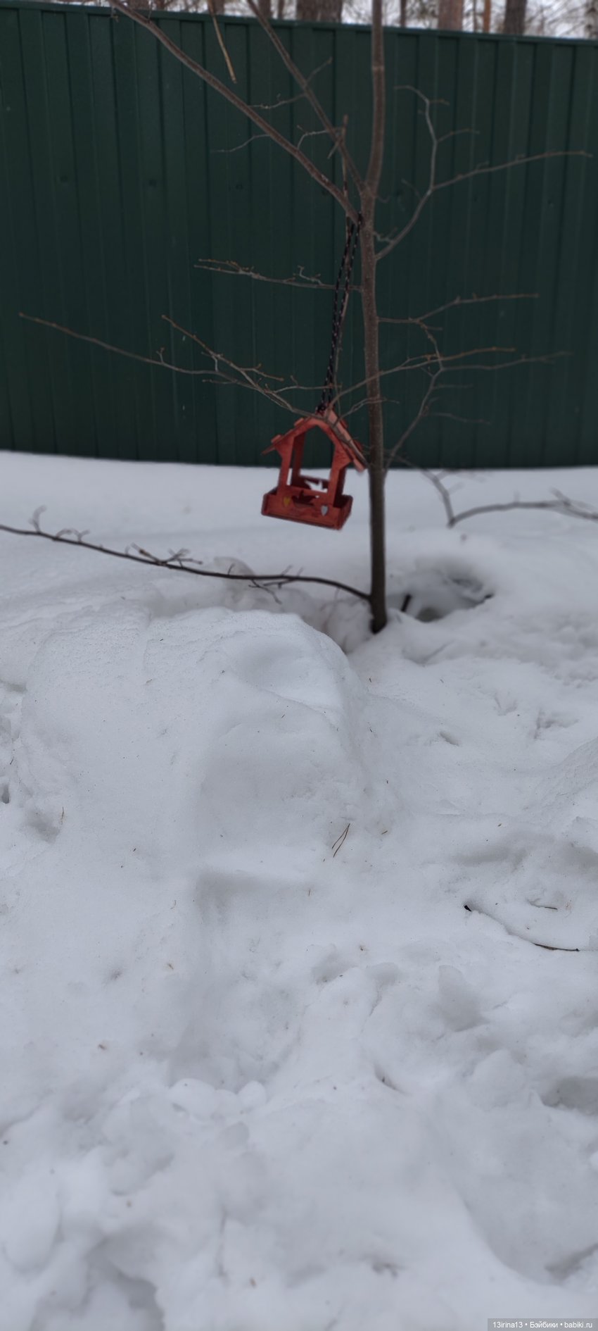 Снег, Капустка и кормушки