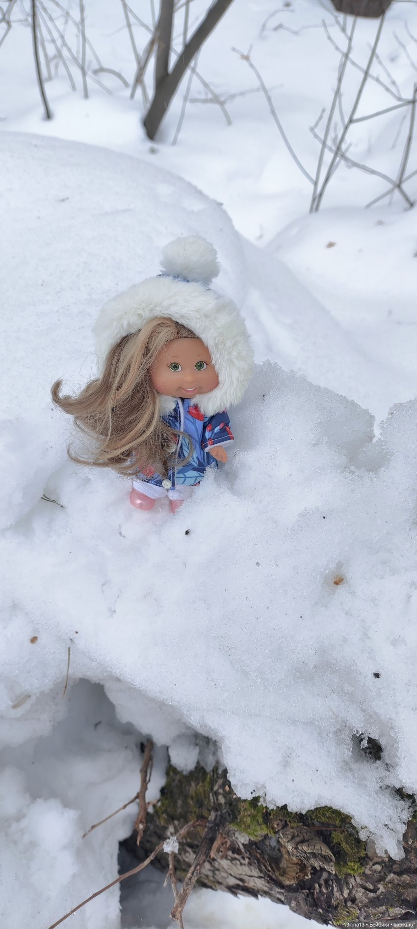 Снег, Капустка и кормушки (фото 10)