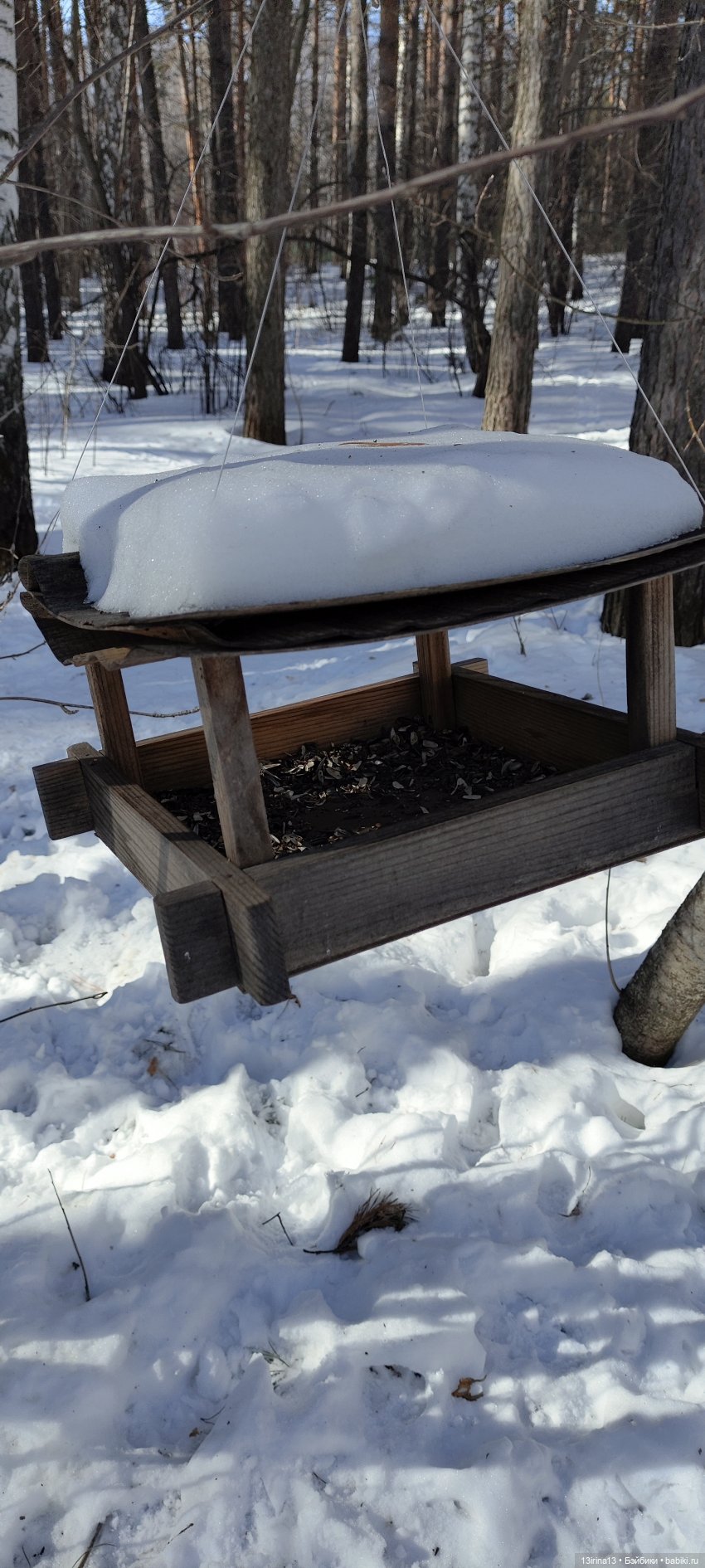 Снег, Капустка и кормушки