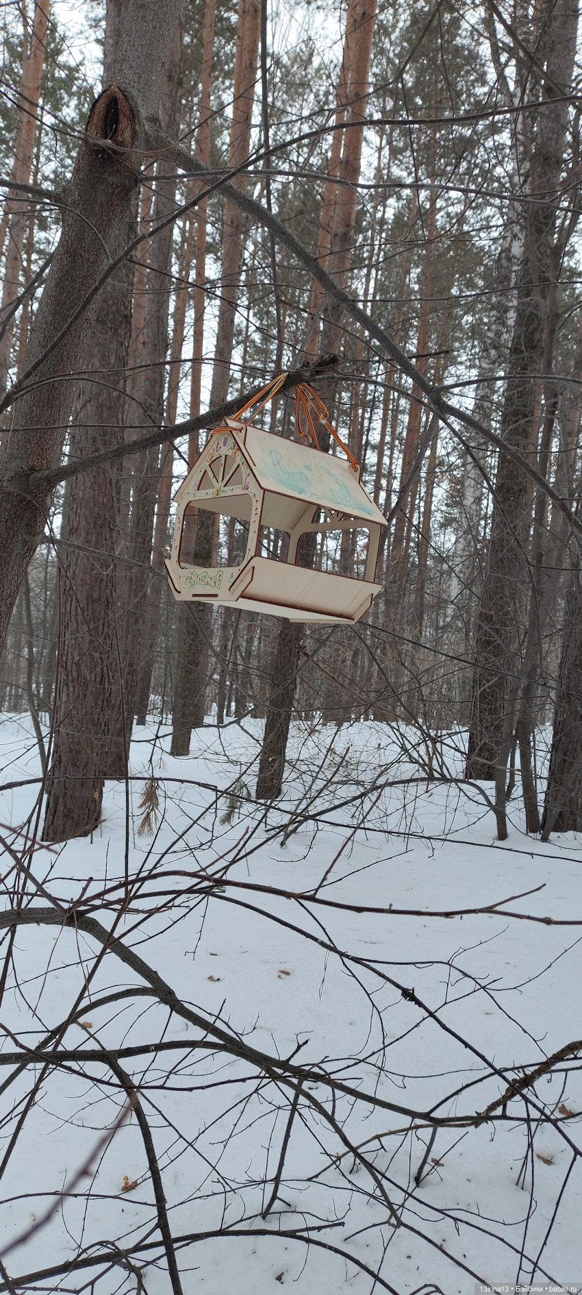 Снег, Капустка и кормушки