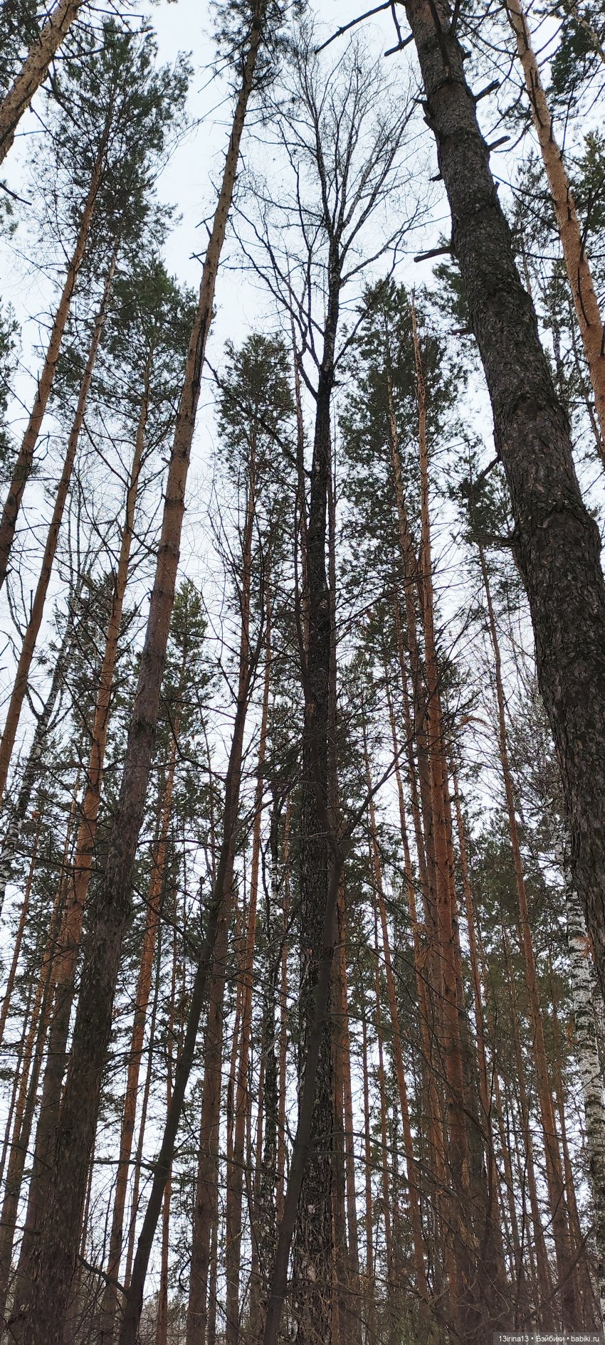 Снег, Капустка и кормушки (фото 6)