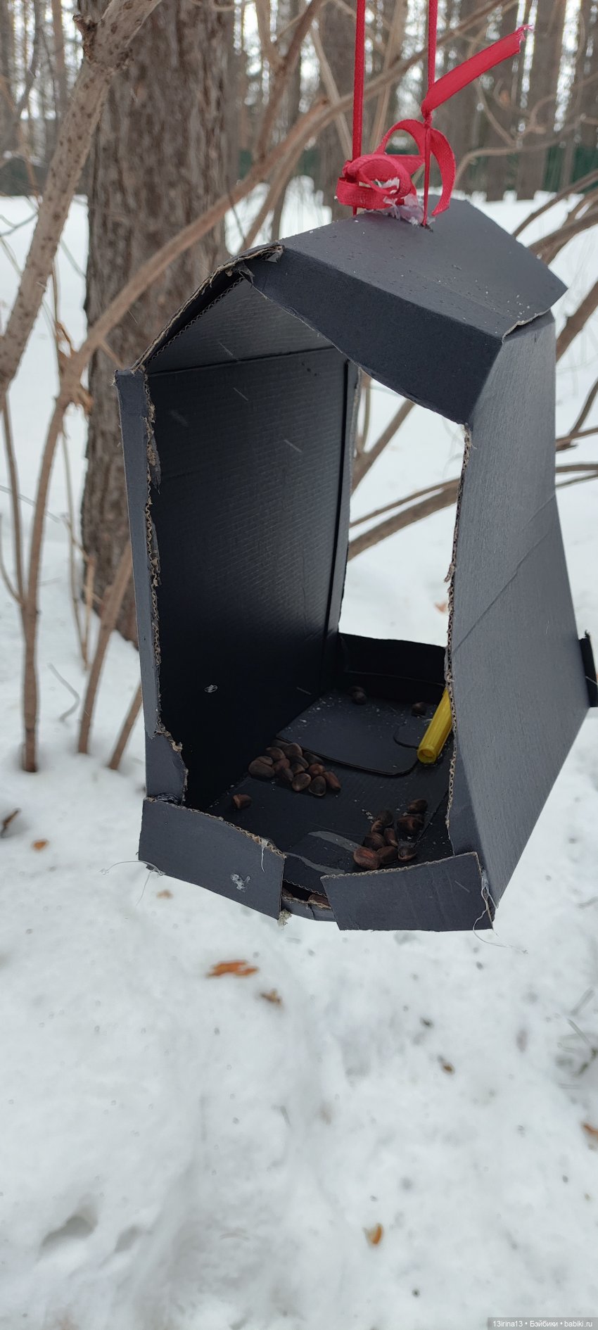 Снег, Капустка и кормушки