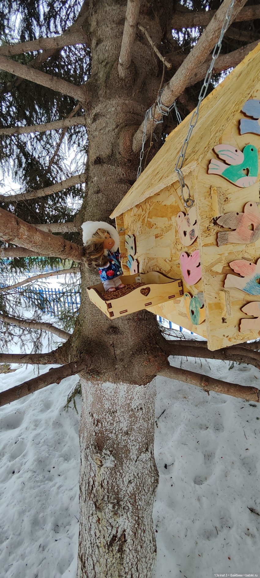 Снег, Капустка и кормушки