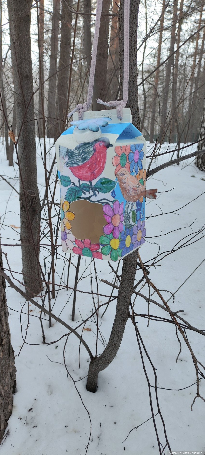 Снег, Капустка и кормушки