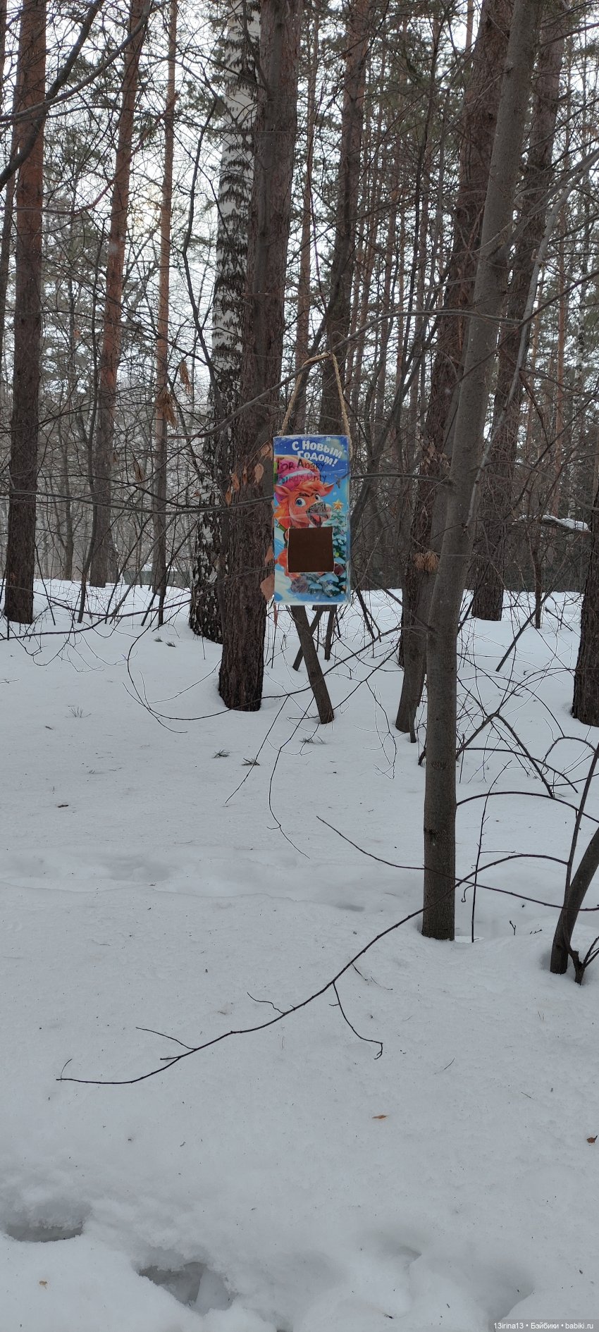 Снег, Капустка и кормушки