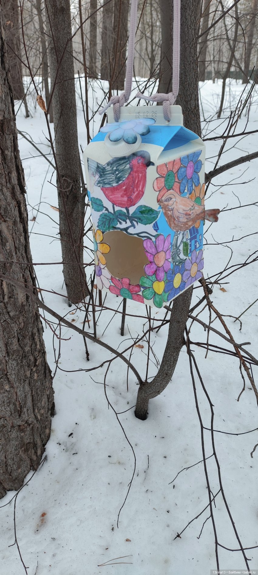 Снег, Капустка и кормушки