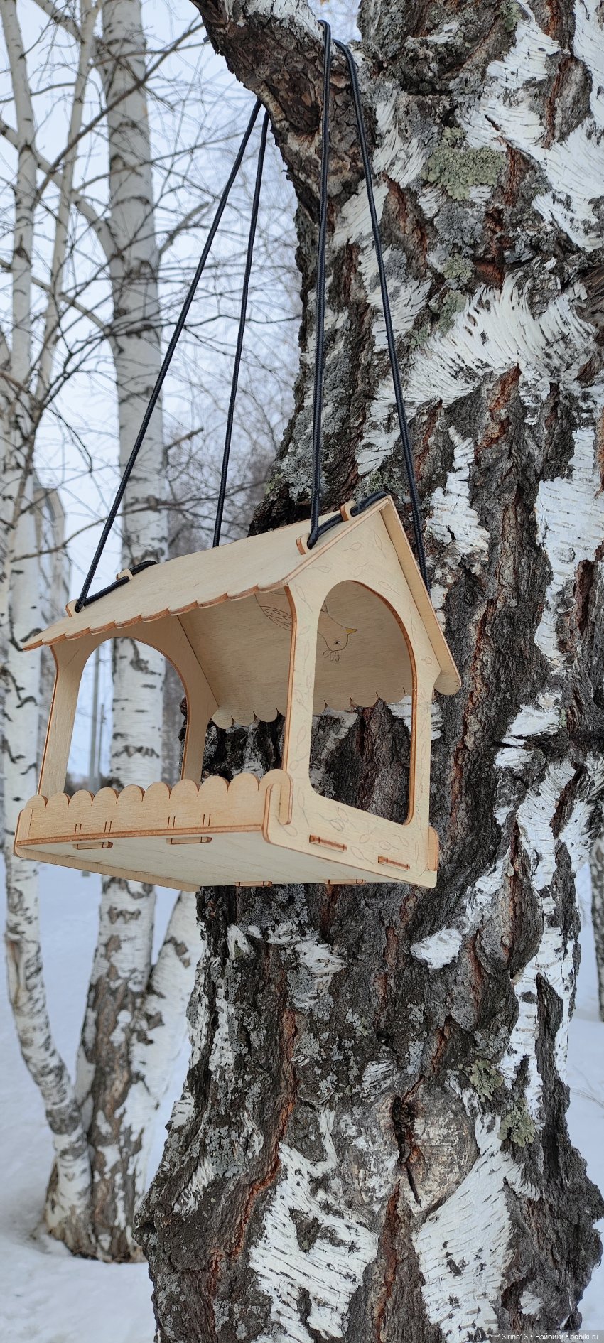 Снег, Капустка и кормушки