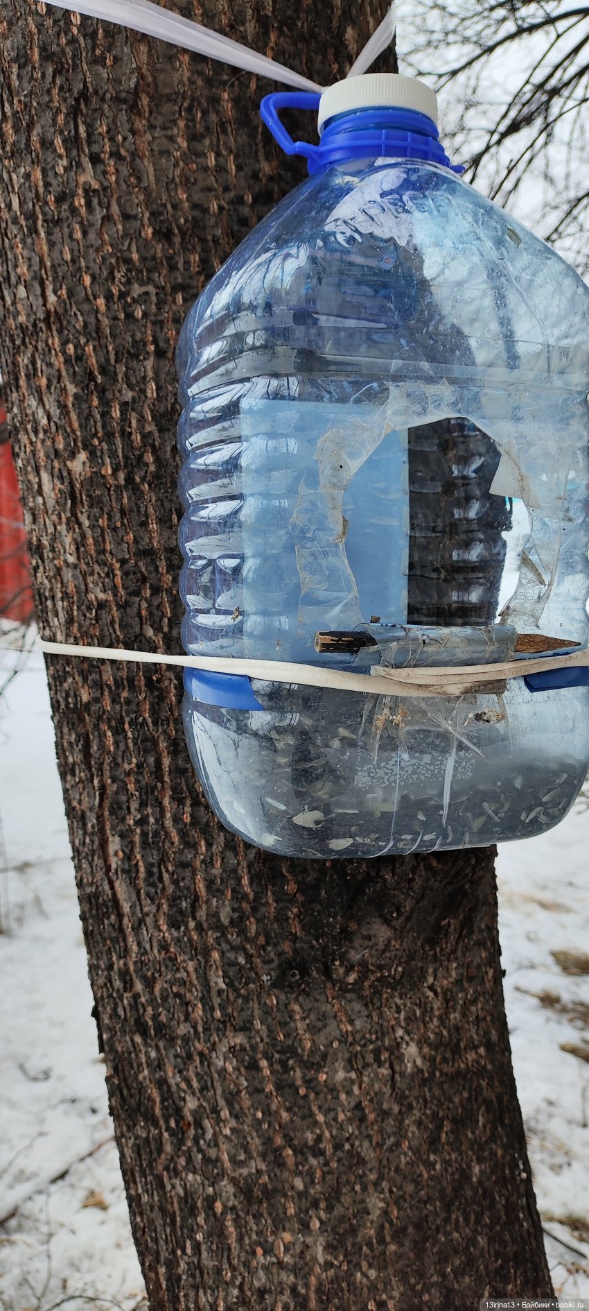 Снег, Капустка и кормушки