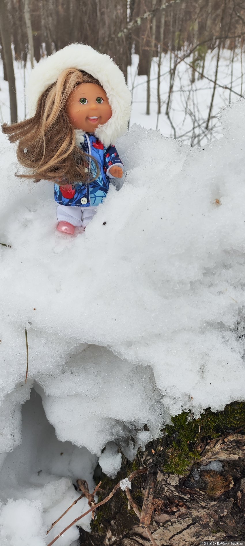 Снег, Капустка и кормушки