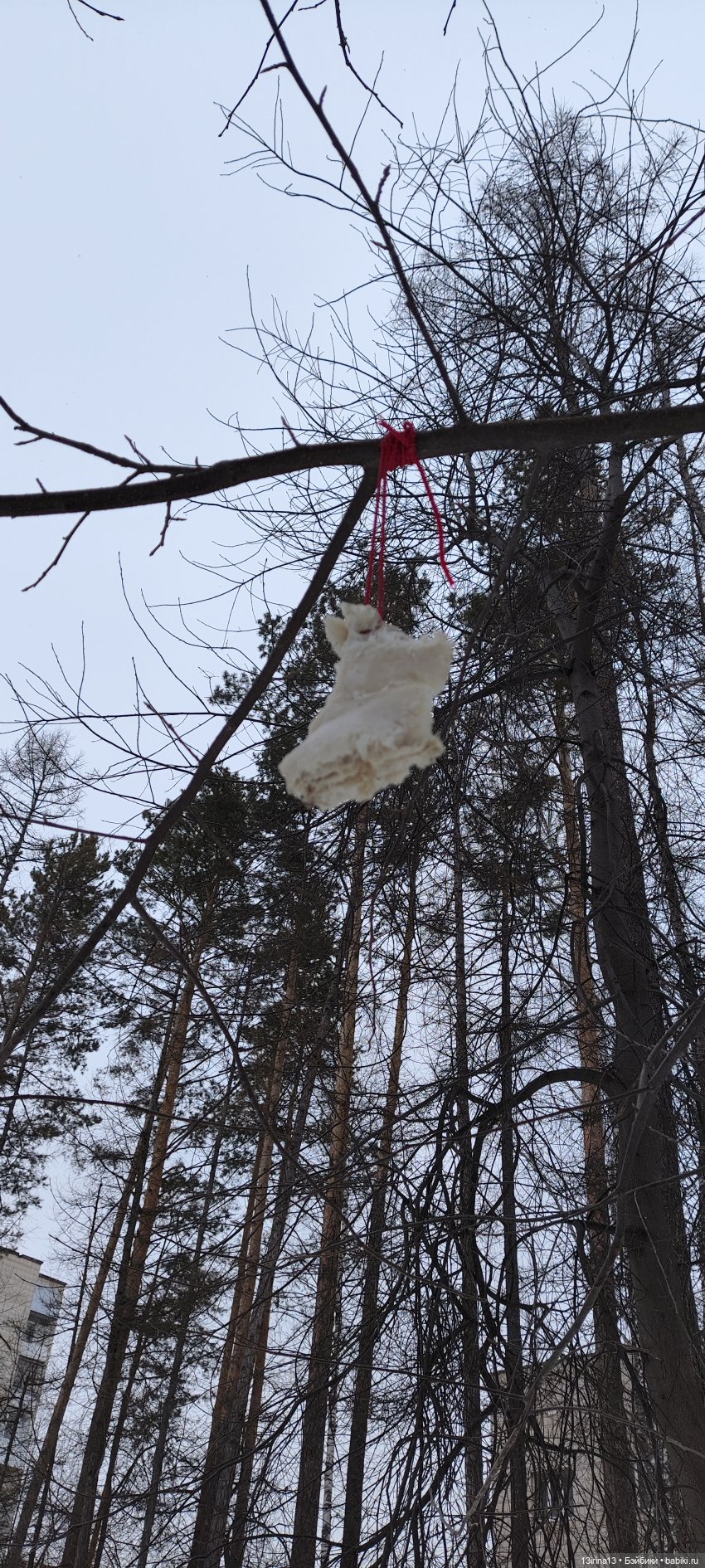 Снег, Капустка и кормушки