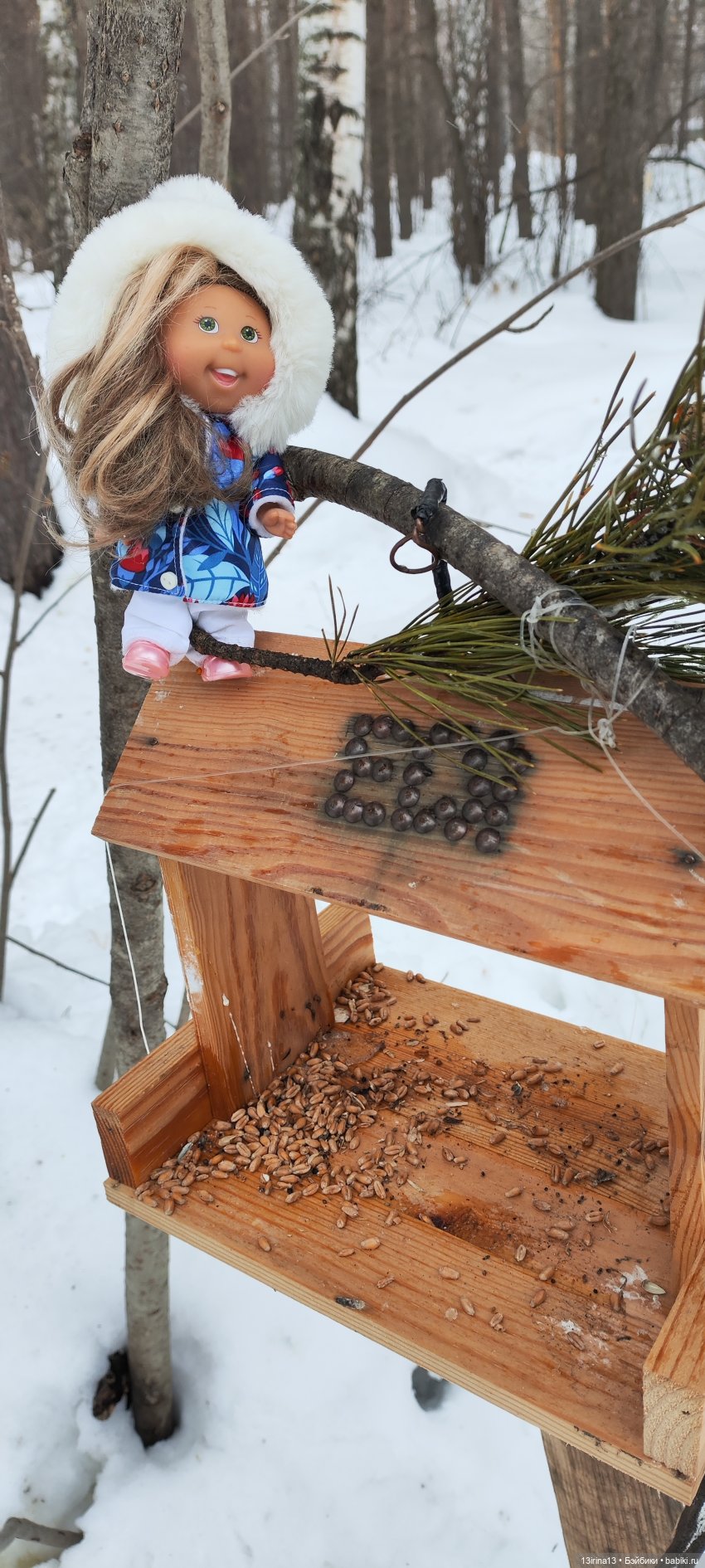 Снег, Капустка и кормушки