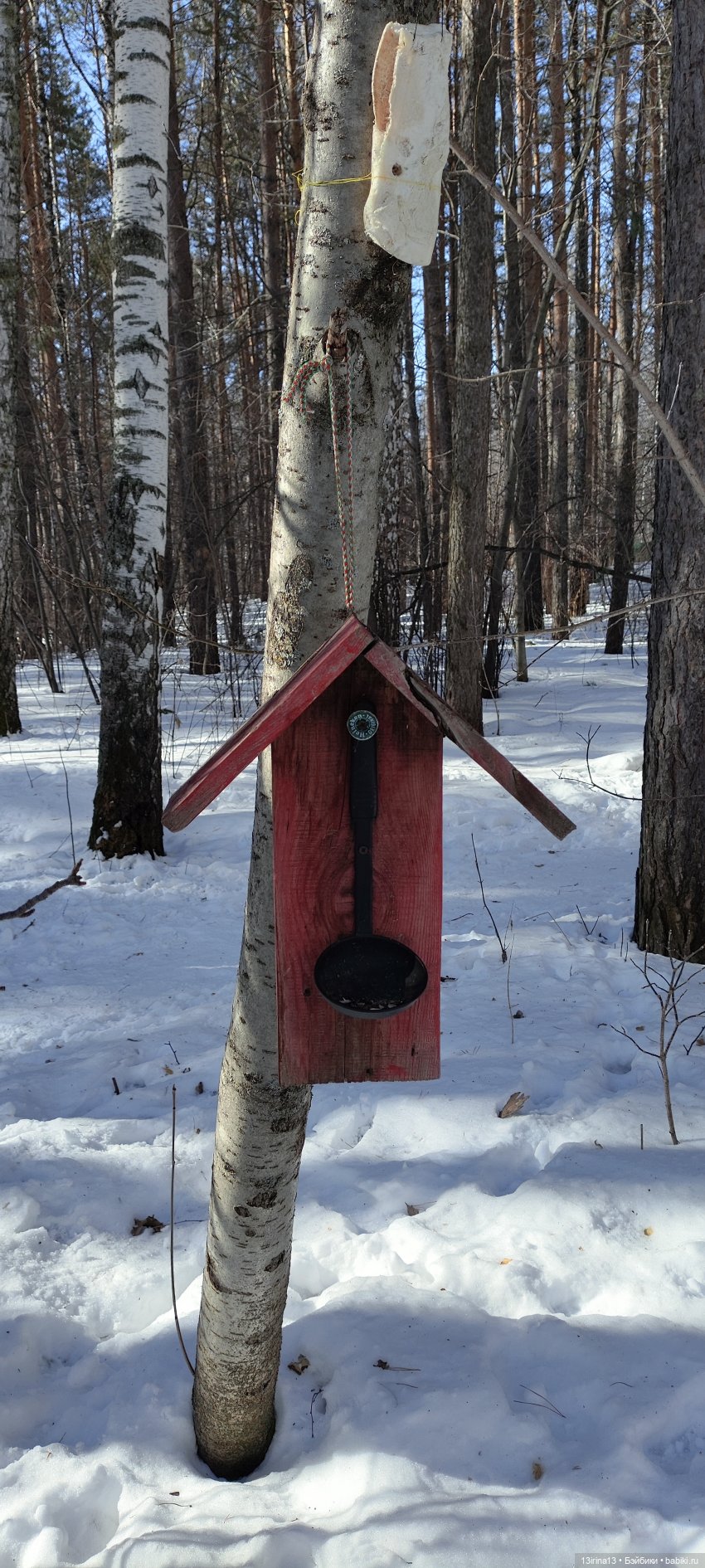 Снег, Капустка и кормушки