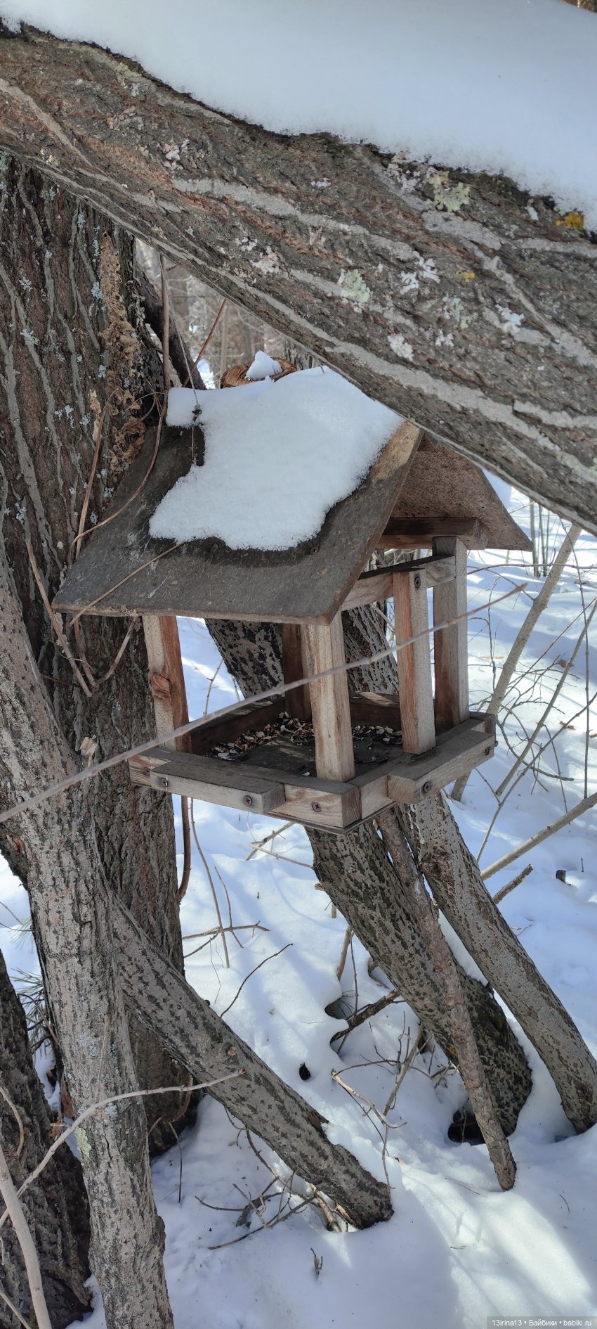 Снег, Капустка и кормушки