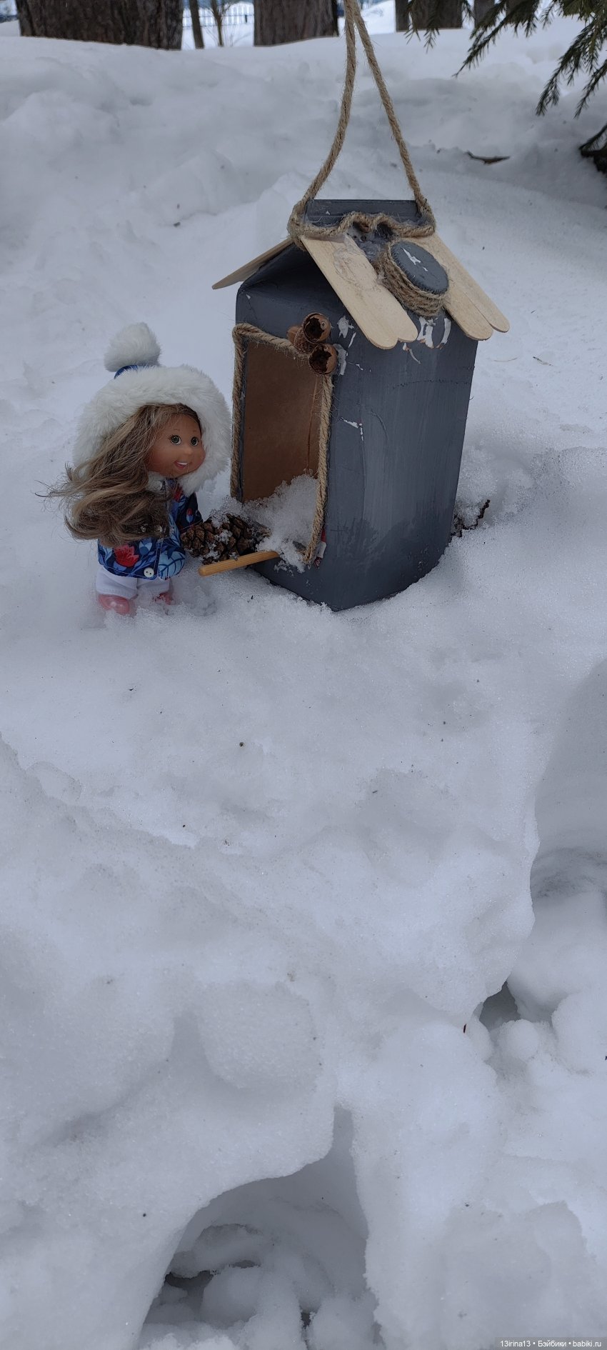 Снег, Капустка и кормушки