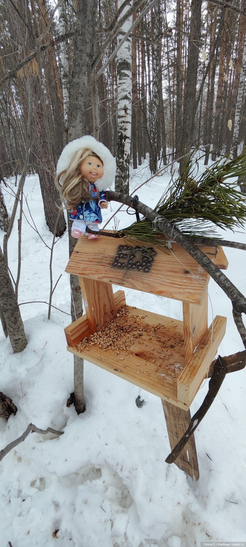 Снег, Капустка и кормушки