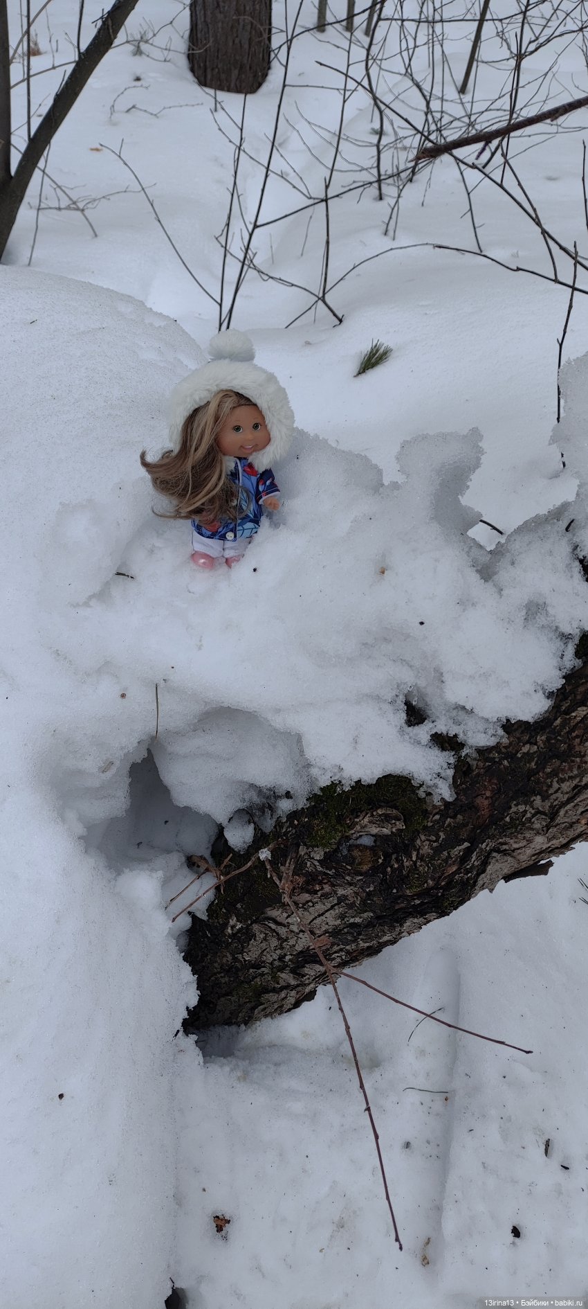 Снег, Капустка и кормушки (фото 8)