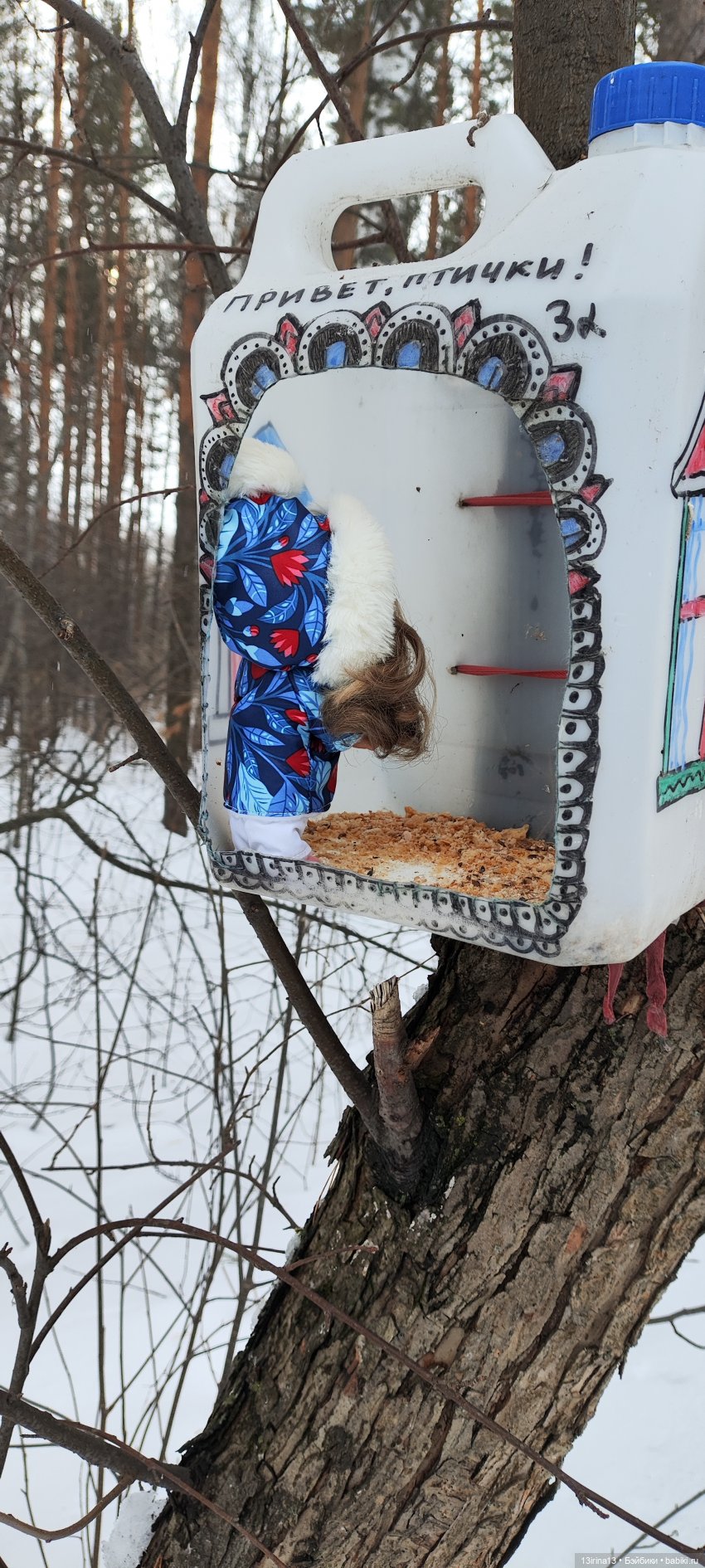 Снег, Капустка и кормушки