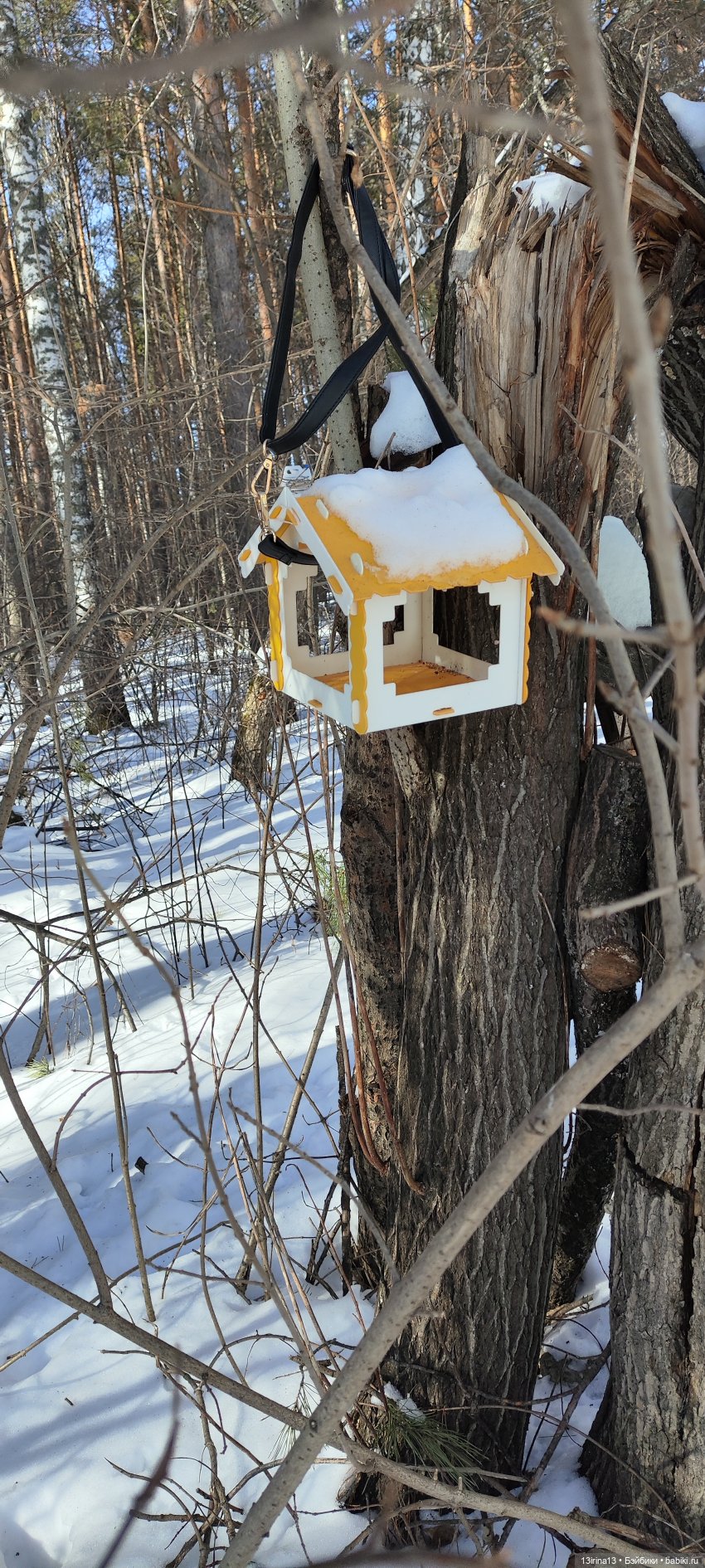 Снег, Капустка и кормушки