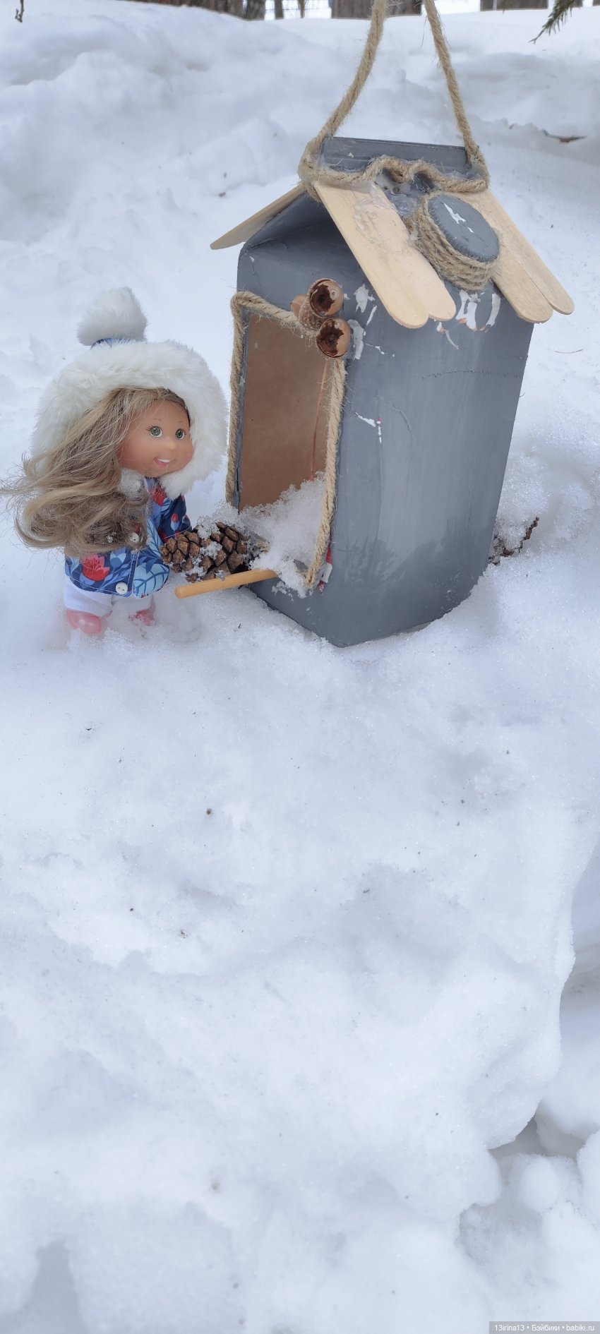 Снег, Капустка и кормушки