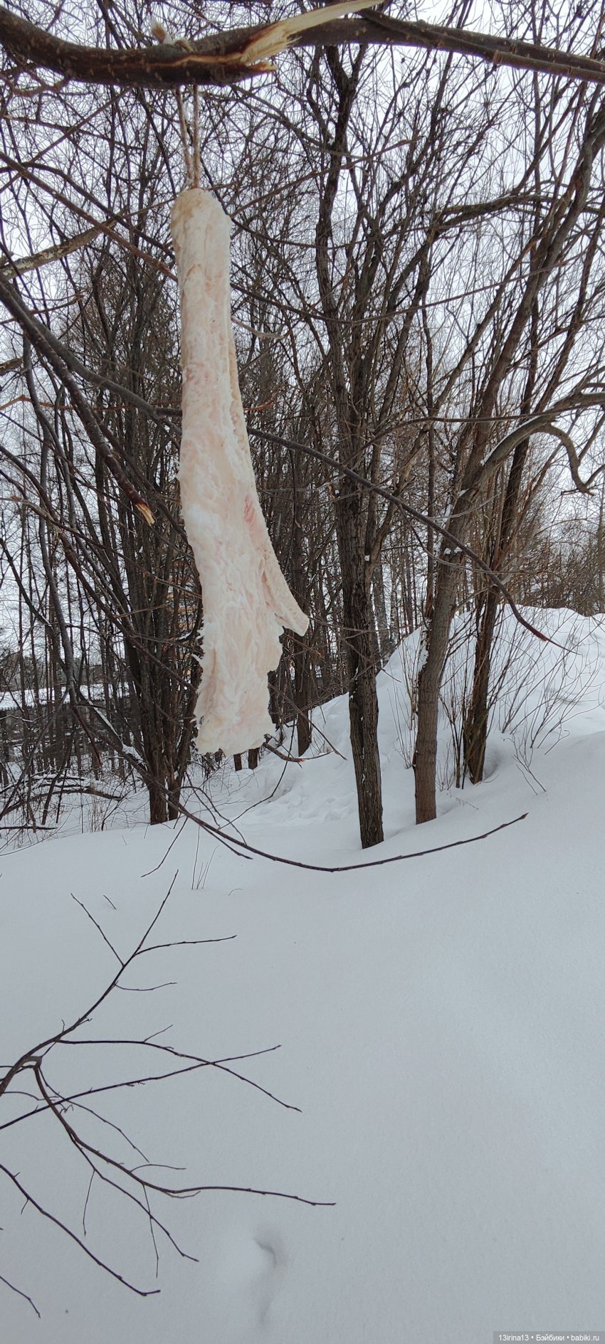 Снег, Капустка и кормушки