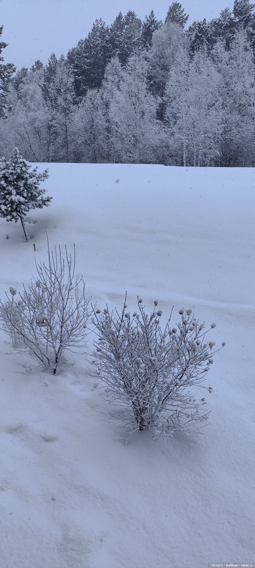 Воскресенье — Куклы Barbie (Барби): Looks (фото 2)