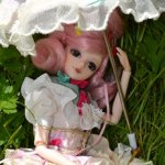 Девушка-пион: джеечка La Rue de Rivoli (J-doll)