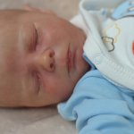 Куклы реборн Ольги Астаповской