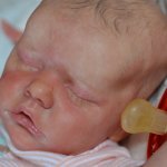 Кнопочка реборн Твин