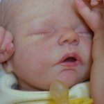 Кукла реборн Robin by Nikki Johnson