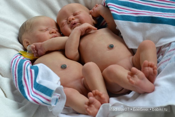 Reborn Americus by Laura Lee Eagles