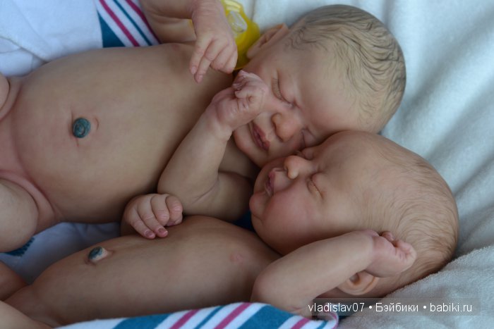 Reborn Americus by Laura Lee Eagles