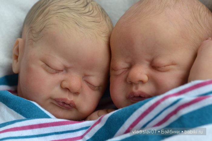 Reborn Americus by Laura Lee Eagles