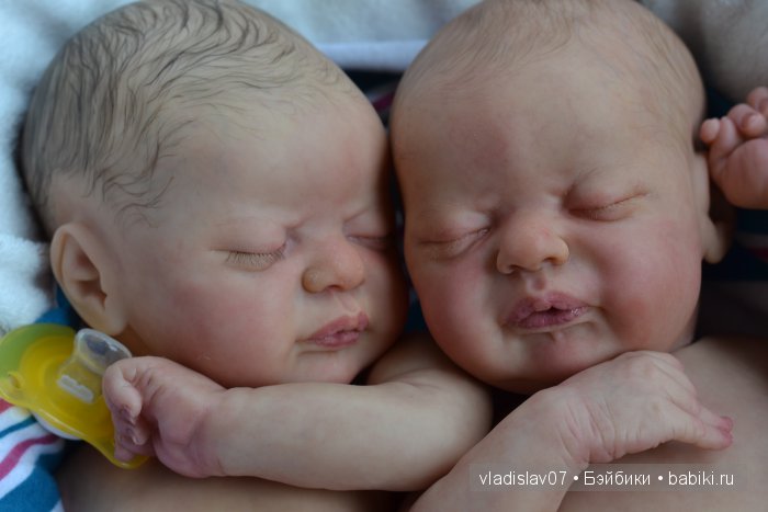 Reborn Americus by Laura Lee Eagles