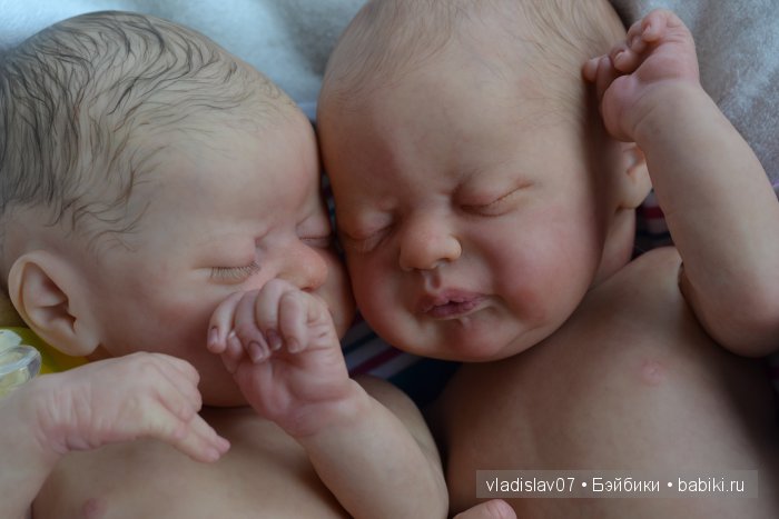 Reborn Americus by Laura Lee Eagles