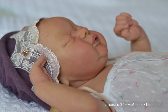 Reborn Americus by Laura Lee Eagles