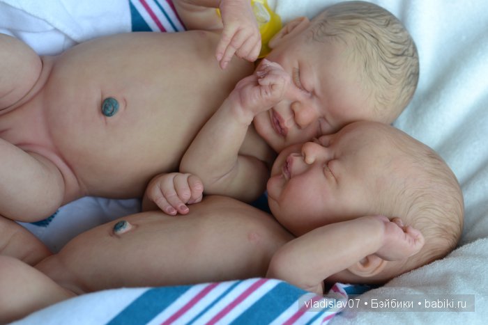 Reborn Americus by Laura Lee Eagles