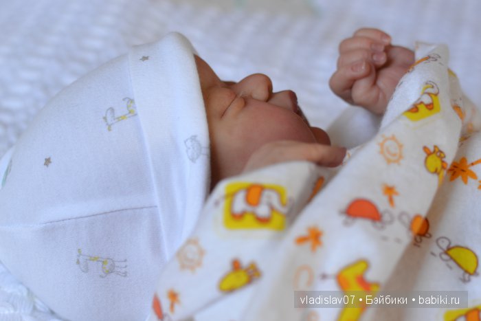 Reborn Americus by Laura Lee Eagles (фото 7)