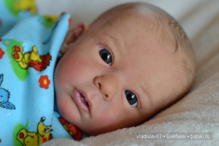 Кукла реборн Tim by Gudrun Legler (фото 9)