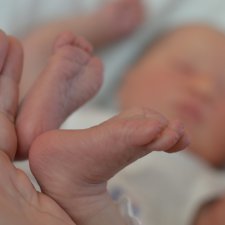 Малыши реборн, реалборны