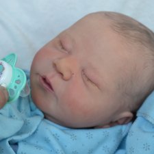 Малыши реборн